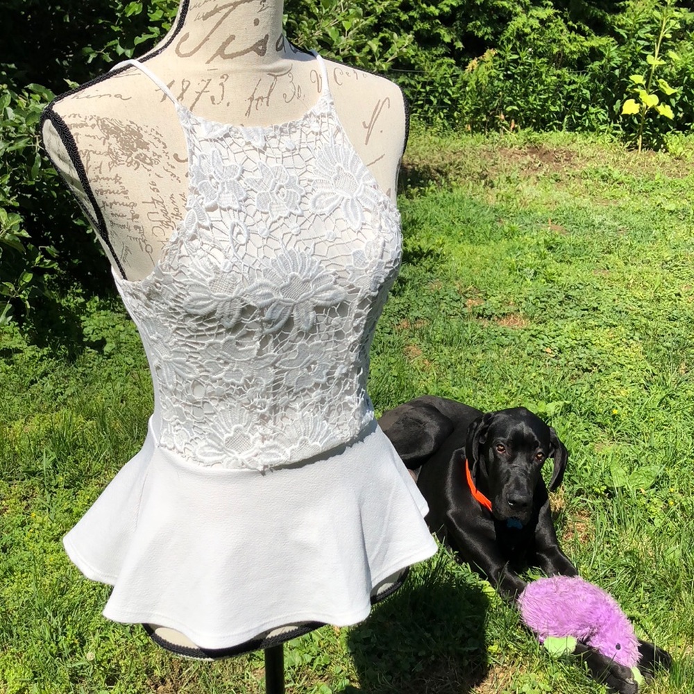 Charlotte Ruse Top